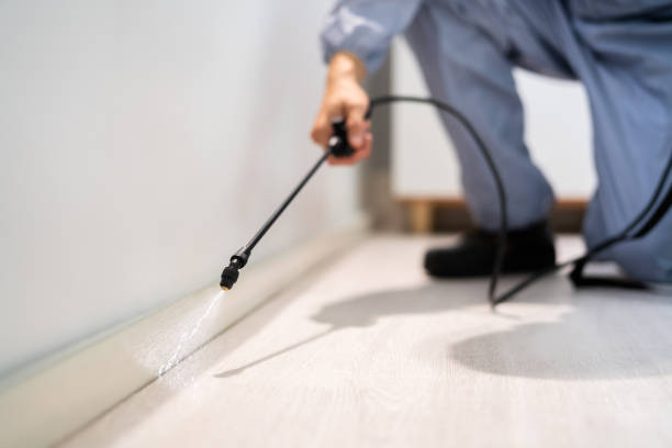 Bed Bug Pre-Treatment Preparation Assessment in Bohners Lake