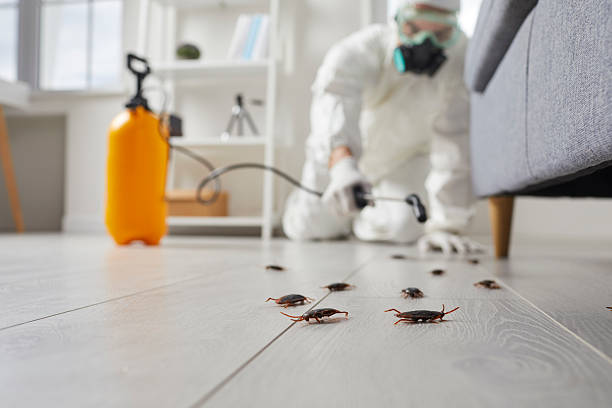 Post-Treatment Bed Bug Interceptor Monitoring in Bohners Lake