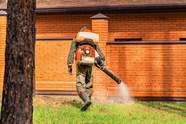 Bed Bug Clearance Verification and Documentation in Bohners Lake